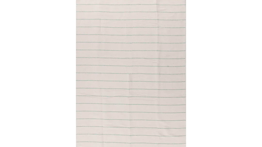 Green classic stripe machine washable area rug in a living room with pets