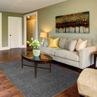 Machine Washable Solid Dark Gray Area Rug (Kid & Pet Friendly) - LOL-77010-ANT-2X6-4.4 - Arconiz