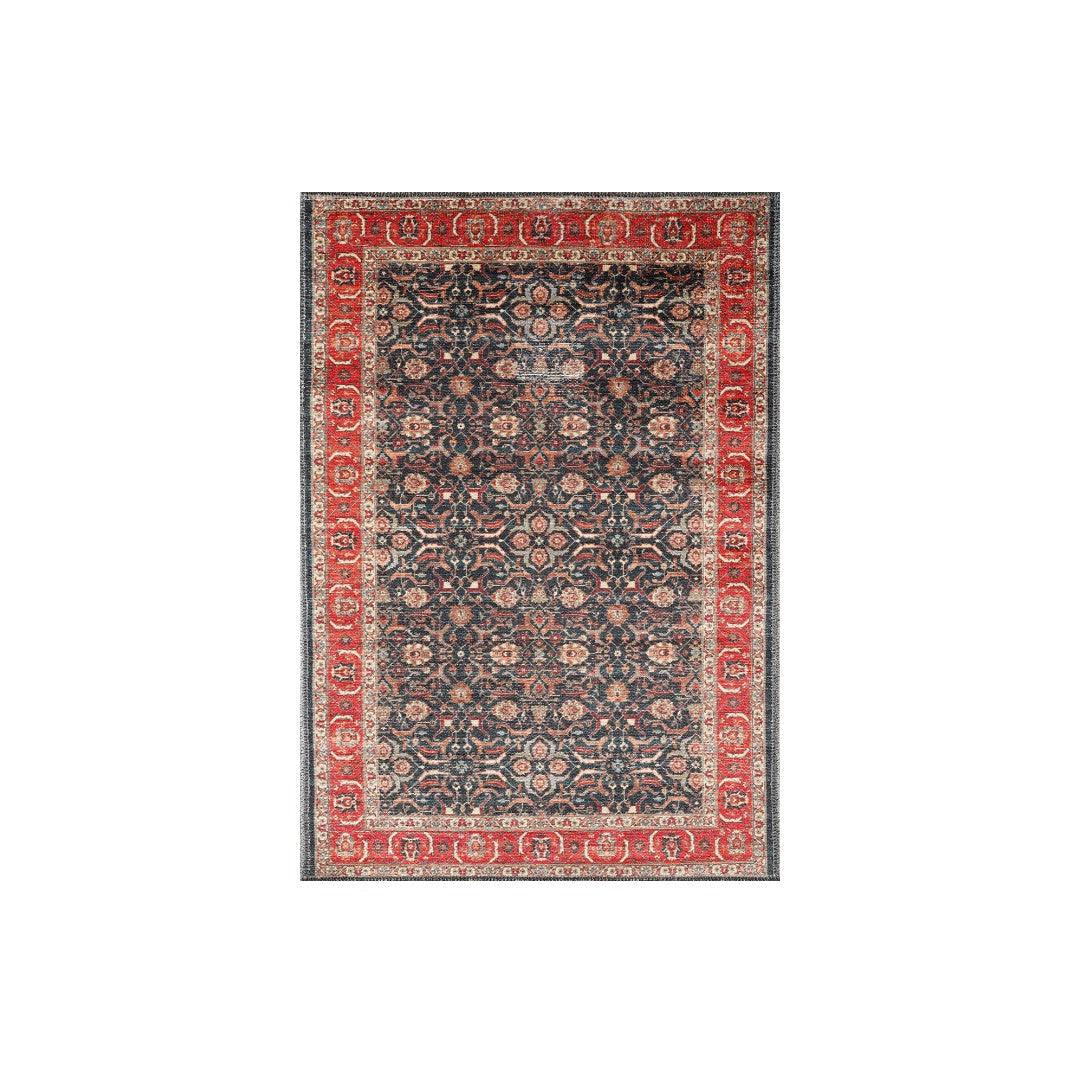 Machine Washable Area Rug - Blue & Red Decorative Border - SAP-P1138-MUL-5X7-4.1.1 - Arconiz