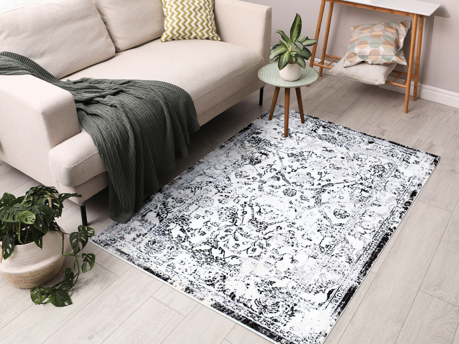 Modern living room with Turkish washable area rug, beige sofa, and potted plants on wood floor