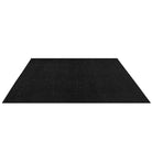 Lolite Solid Non Slip Machine Washable Area Rug, Black